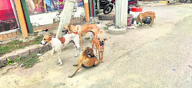 శునకా