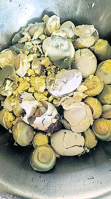 కుళ్ల