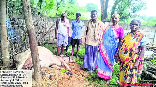 పిడుగ