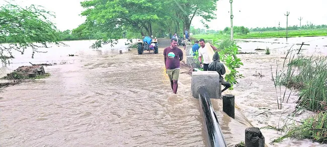 పంటలక