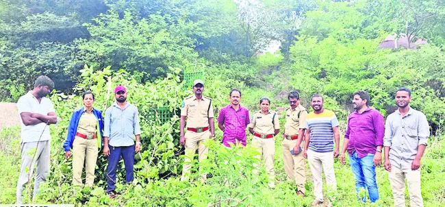 ట్రాప