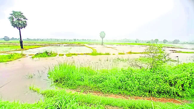 నీటము