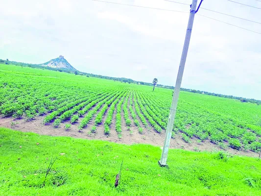 ముసుర