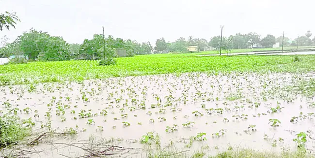 దంచికొడుతున్న వాన