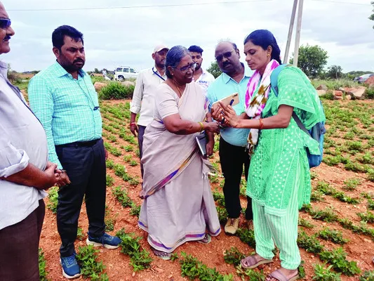 అమలు 