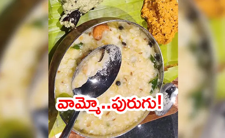 Worm Found Inside Food At Rameshwaram Cafe At Bengaluru Airport