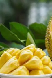 Kerala Bus Drivers Fail Breath Test After Eating This Jack Fruit10