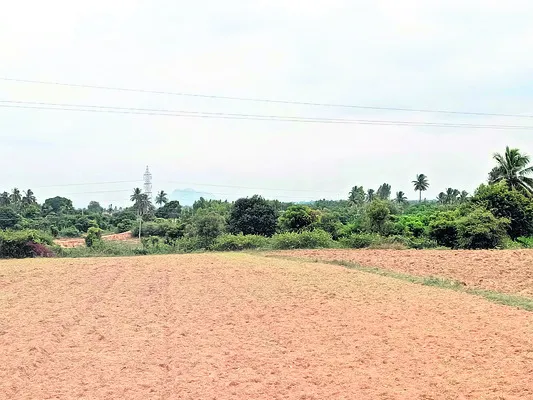 ఎవరిక