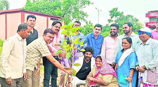 మొక్కల పెంపకంతో కాలుష్య నివారణ