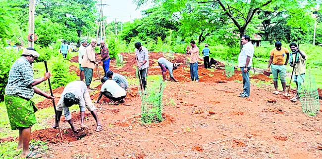 మియావ