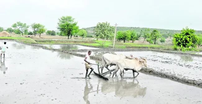 రైతుల్లో చిగురించిన ఆశలు
