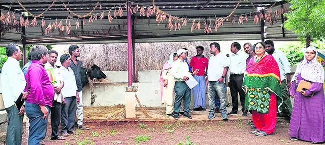 రికార్డుల అస్తవ్యస్తంపై కేంద్ర బృందం అసంతృప్తి