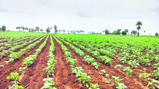 వర్షం