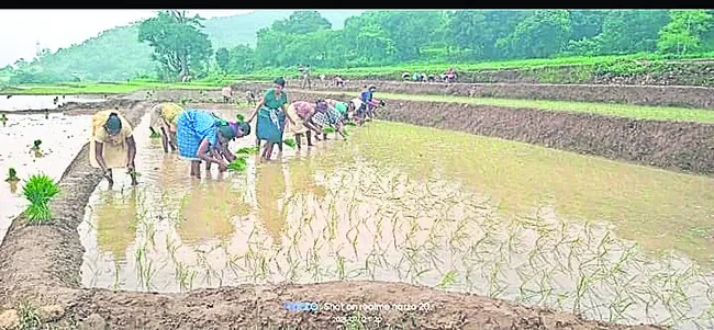 ఊపందు