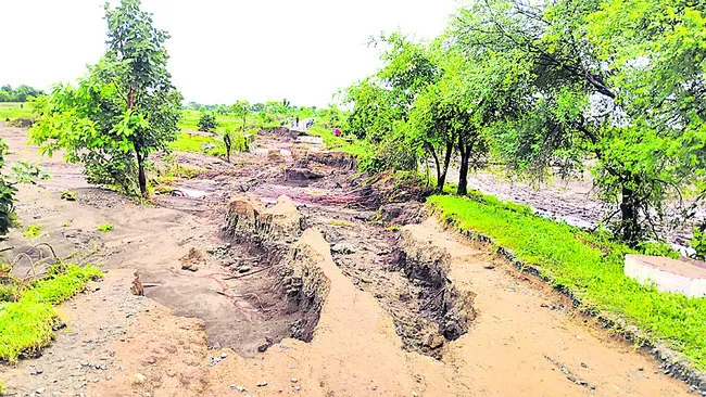 ఎడతెర