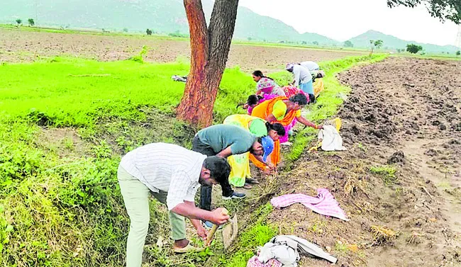 ఇక.. రెండు పూటల హాజరు
