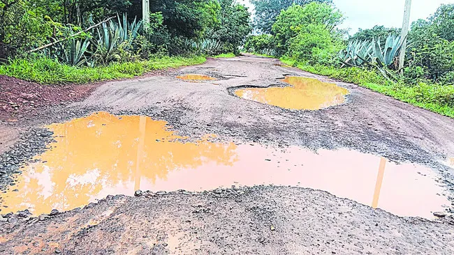 జోరువాన