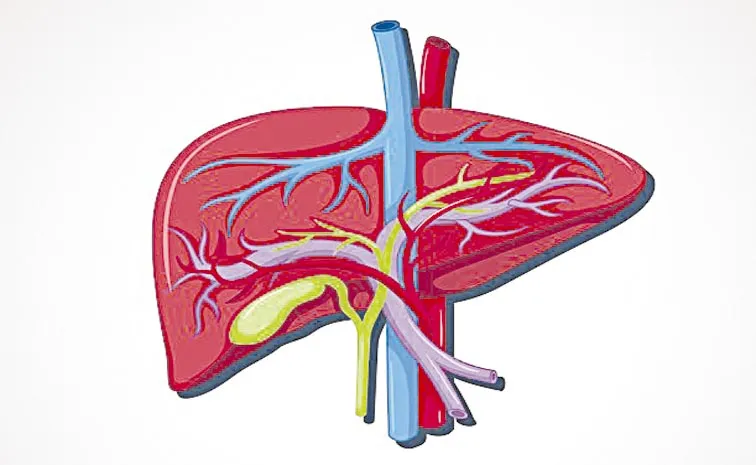 Hyderabad Startup Achieves Global First in Liver Failure Treatment