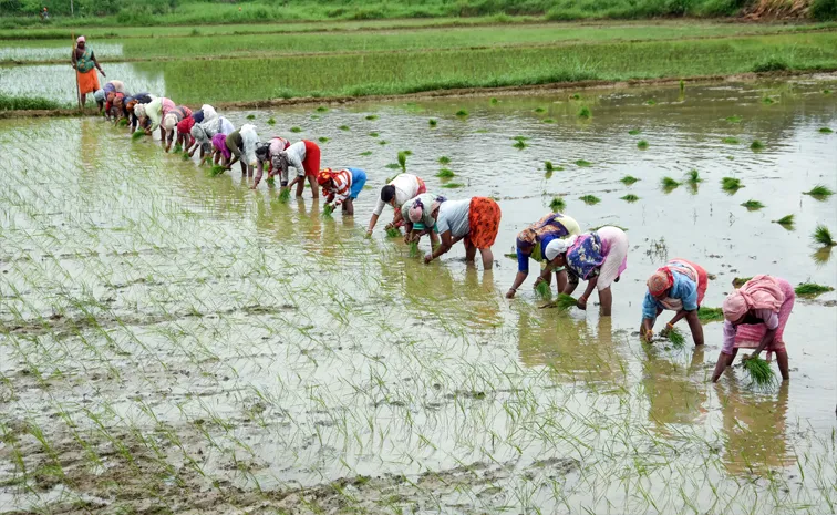 Indian farmers are poised for a major boost with India UK FTA