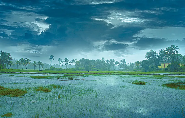 Heavy rains in North Andhra and moderate rains in South Coastal and Seema districts