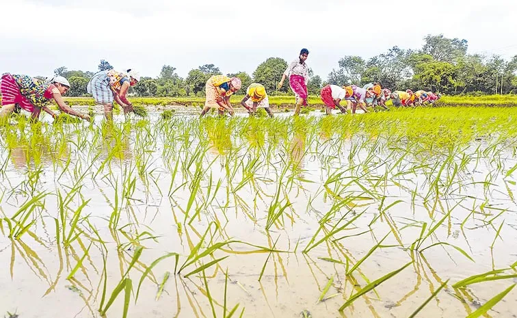 IMD Issues 2 Days Rain Alert In Telangana