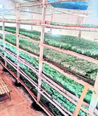 సబ్సిడీలకు తిలోదకాలు