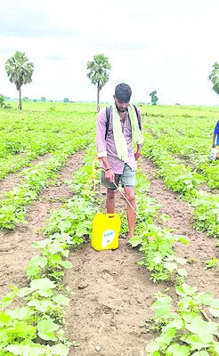 రైతన్నా.. జర భద్రం