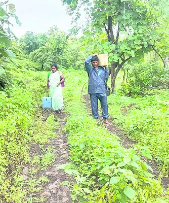 తొమ్మిది కిలోమీటర్లు నడిచి వైద్యసేవలు