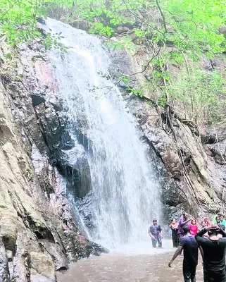 ●మన్య