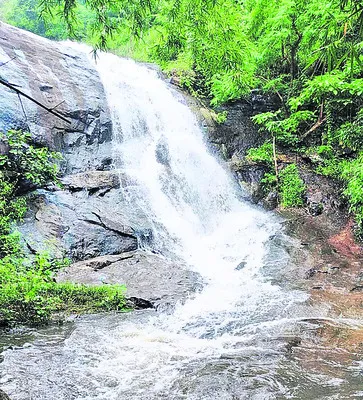 ●మన్య