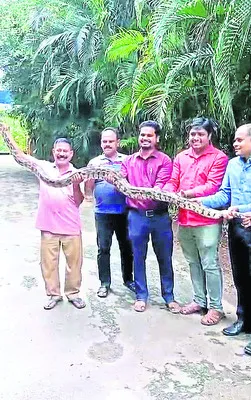 నలుగు