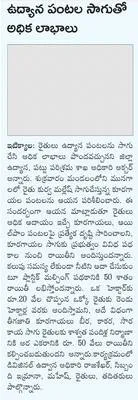 గర్భి