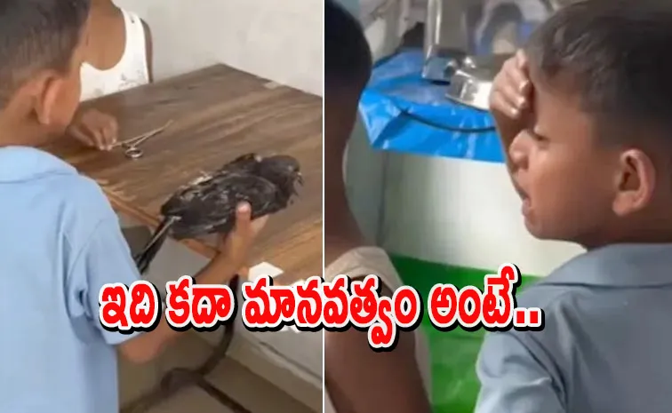 పాపం పావురం.. కాపాడండి ప్లీజ్‌.. వీడియో వైరల్‌