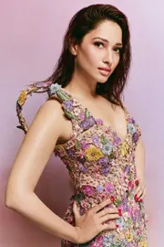 Tamannaah Bhatia And Nithin Wife Latest News2