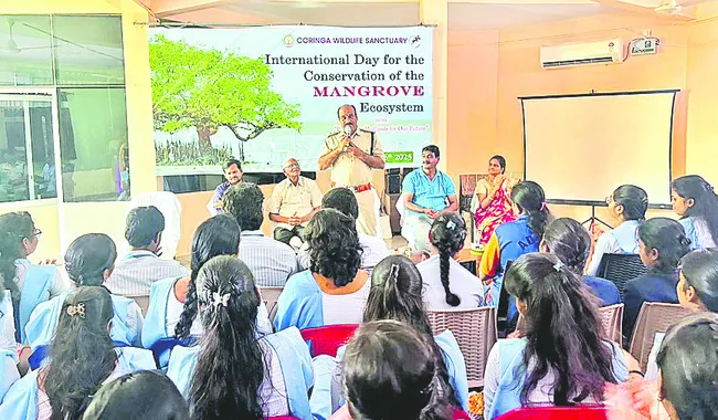 ఆరోగ్యవంతం.. కోరంగి మడ అటవీ ప్రాంతం