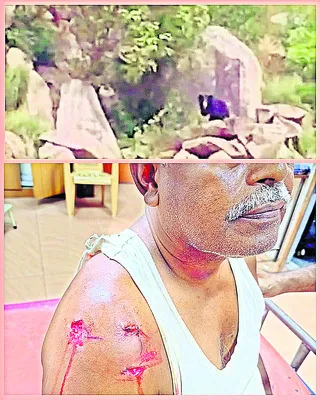 క్లుప్తంగా
