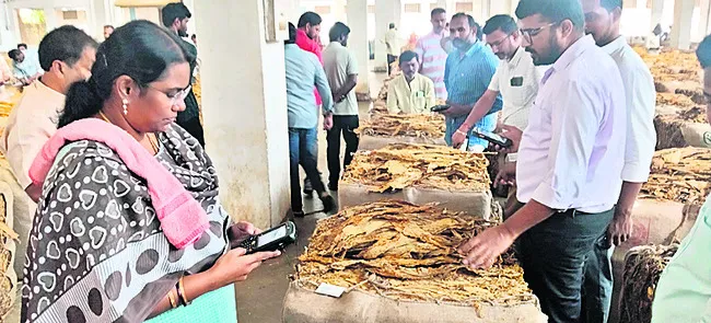 వర్జీనియా ధర పతనం