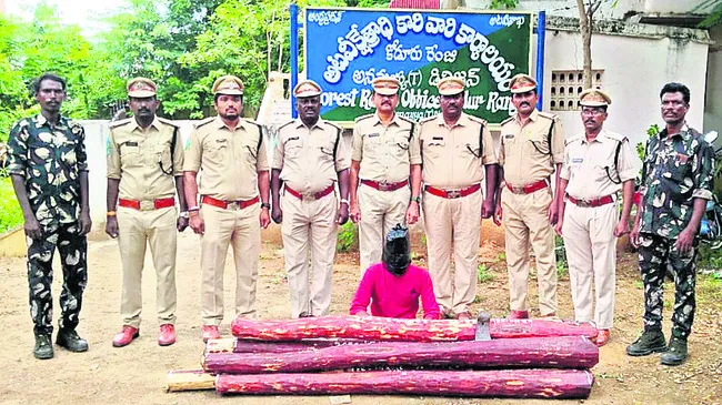 8 ఎర్