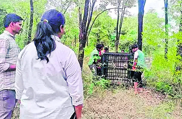 జనవాస