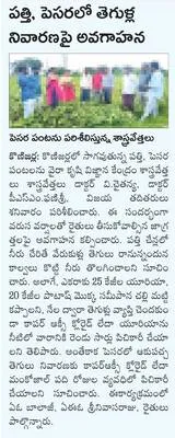 గ్రామ