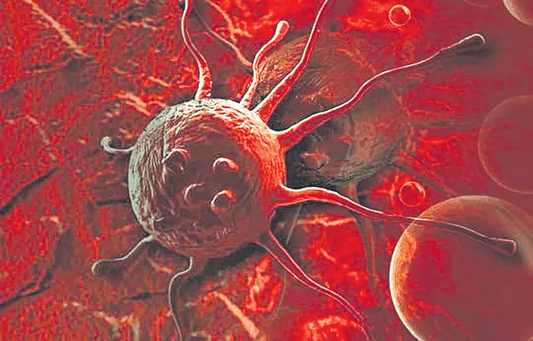 14 day care cancer centers in AP6
