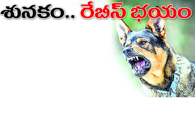 కుక్క