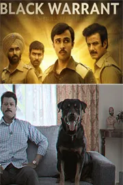 OTT: Best Bollywood Web Series And Show To Watch In 20256