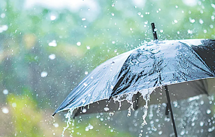 Light rains in the state today