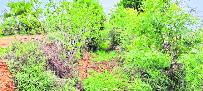 నీరు పారదు.. పంట తడవదు