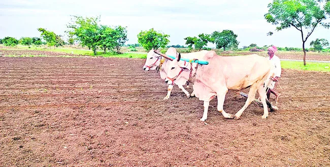 అదును