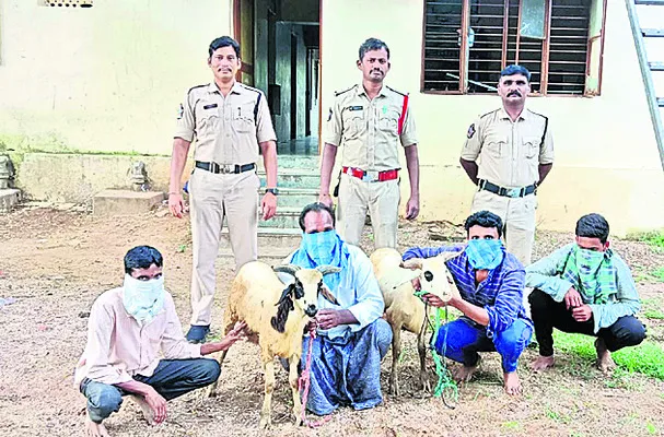 11 మం