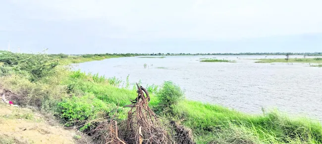 ఆశల వ