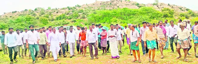 నిమ్మ