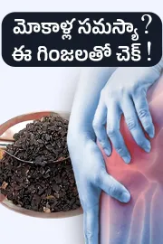 Tip of the Day Soaked Mahabeera seeds amazing benefits for knee pains5